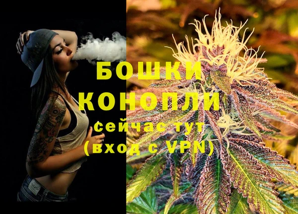 сатива Киреевск