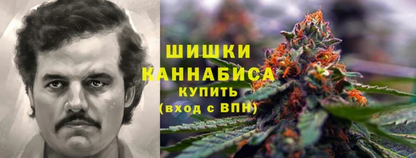 сатива Киреевск