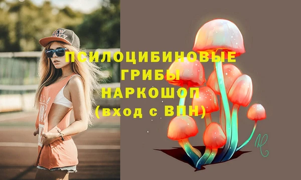 гашиш Карпинск