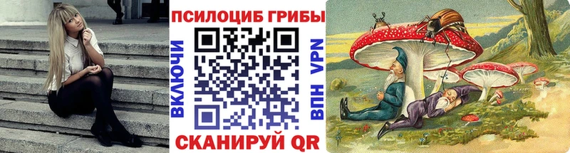 Галлюциногенные грибы Magic Shrooms  площадка телеграм  Кимры  наркошоп 